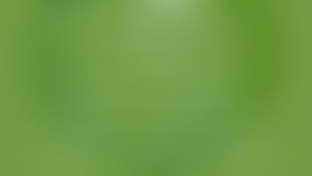 Celebrate Earth Day in Mt. Washington - Sunday, April 26,          8 a.m.- 2 p.m.