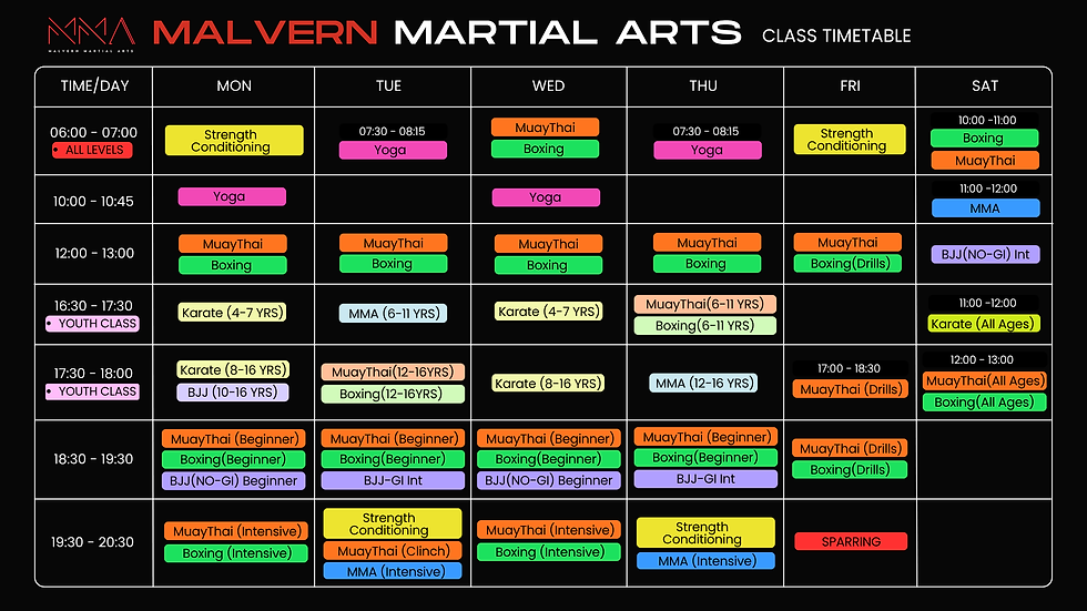 MMA timetable adult 06.2024.png