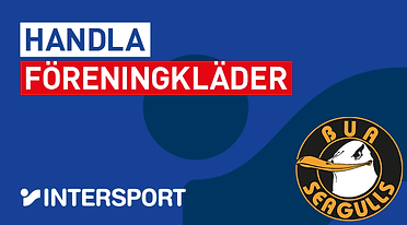 Intersport_Seagulls.png