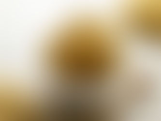 Unlocking the Potential of Sea Moss: A Nutrient-Rich Natural Wonder