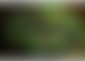 Eat Smarter. Lose Bodyfat.