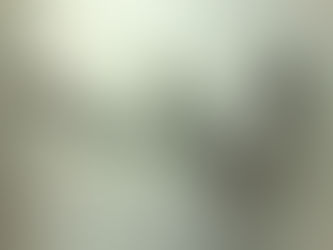 Martial Science: Ranks & Titles