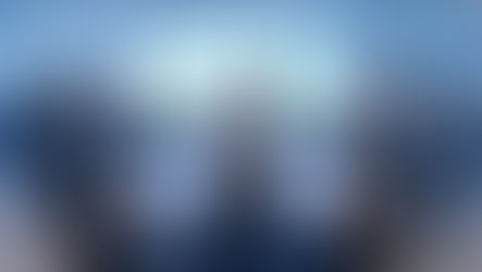 Decoding the Venture Capitalist's Mind: What Makes a Startup Investable?"