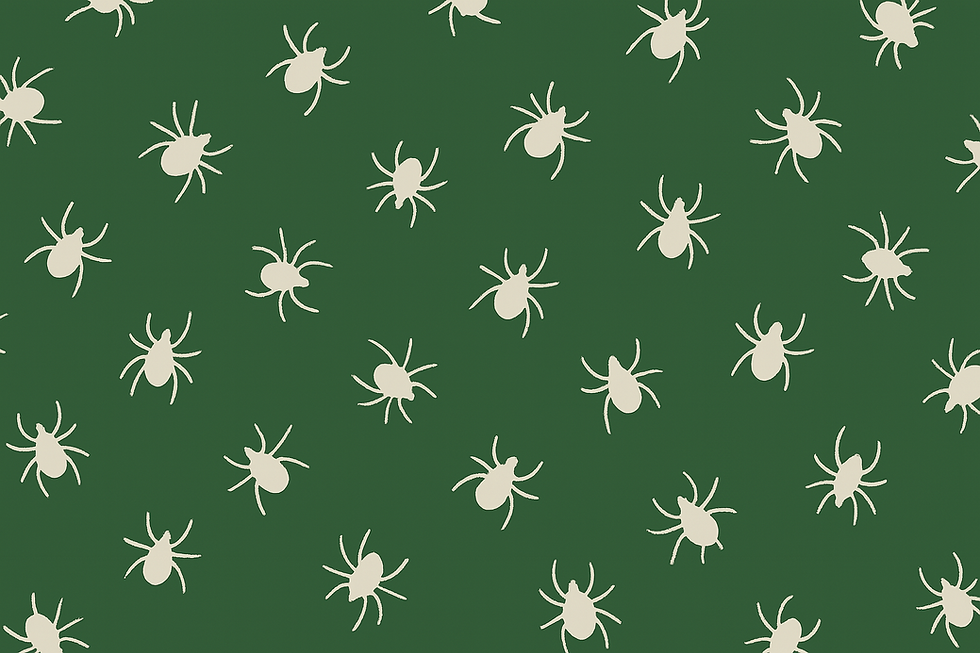 ChatGPT Image Jul 25, 2025 at 02_53_59 PM.png