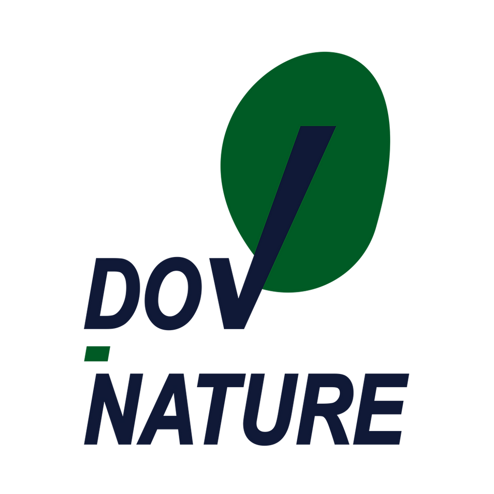 Logo de Louis 6000 x 6000 sans fond.png