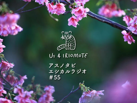 やんばる大宜味村ター滝をご紹介|エシカルラジオ#55