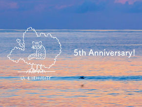 Us 4 IRIOMOTEは5周年をむかえました