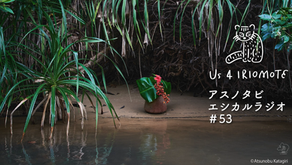 「竹富町の島々からはじまる日本最南端の国際芸術祭」の最新情報をお届けします|エシカルラジオ#53