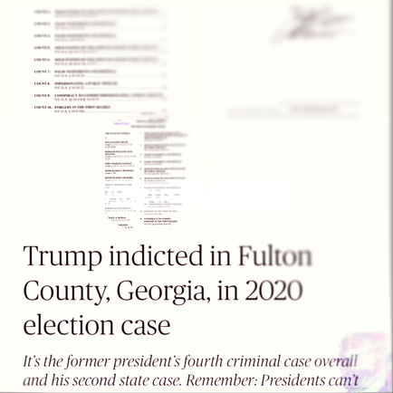 Criminal Enterprise - Georgia Delivers an Indictmentent