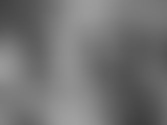 How Does Military Domestic Deployment Impact Immigrants?