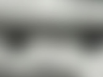 R35 GT-R カーボンパーツ検証