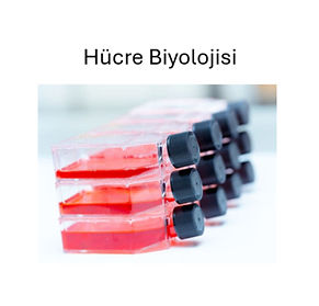 Hücre Biyolojisi_edited_edited.jpg