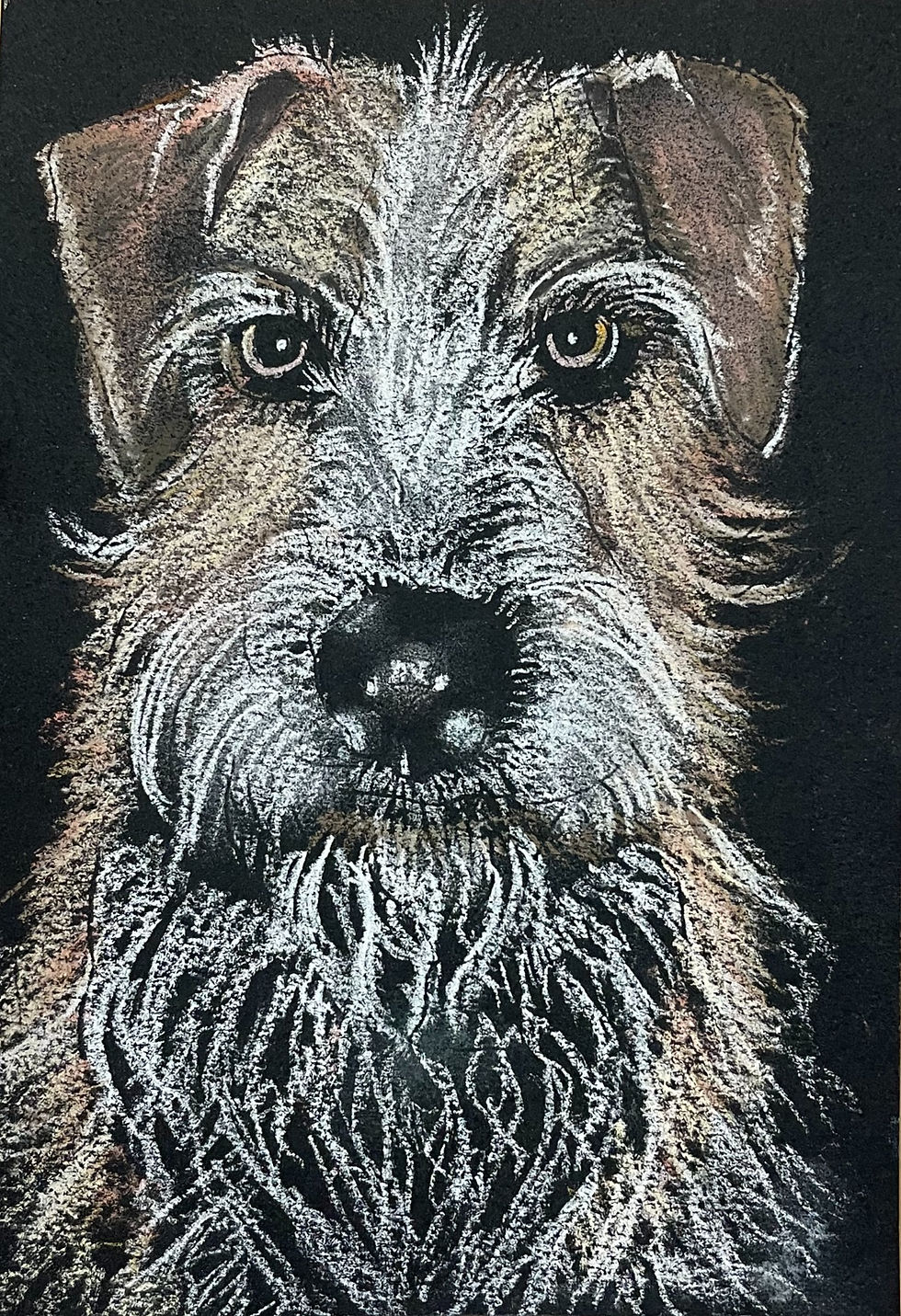 Banjo