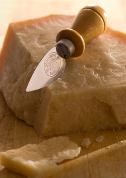 parmesan