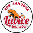 rsz_samobor.png