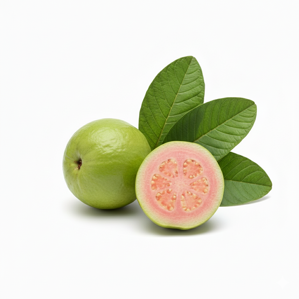 Guava Leaves