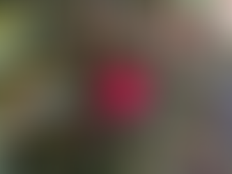 A Lesson From the Last Bloom Standing