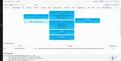 Applicare Server Info