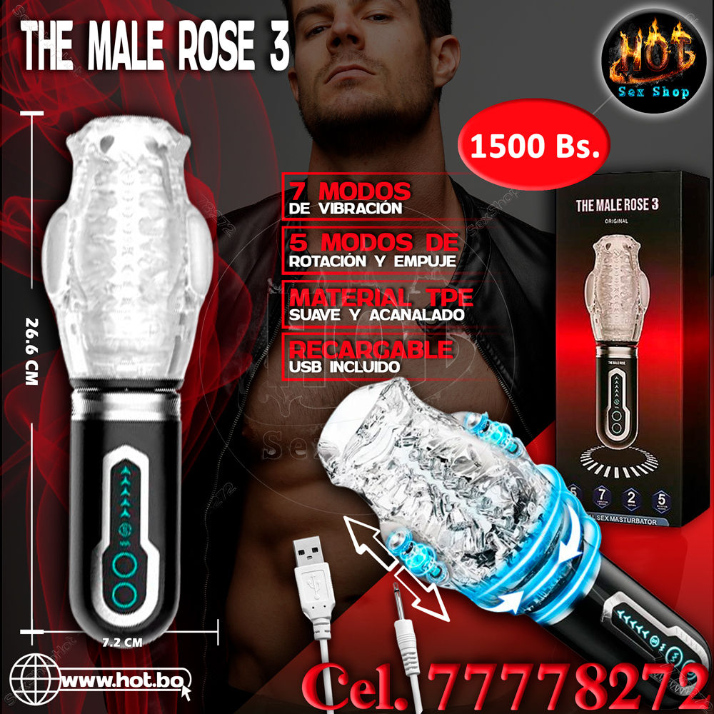 THE MALE ROSE 3