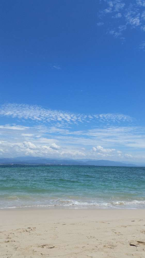 資料來源：西雅圖靈糧堂