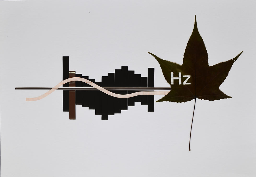 JMoreno 2015. Sound and nature 2 de 2. 50 x 35 cm.