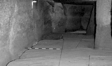 Intervencion Viera.jpeg