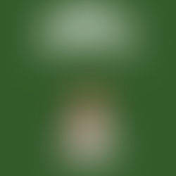 CASA RURAL PARA COMUNIONES EN MALAGA. ALORA. HACIENDA LOS OLIVOS.