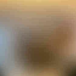 Comedor para 24 personas con chimenea