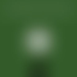 El invierno en casa rural de Mรกlaga Cortijo Bachiller.