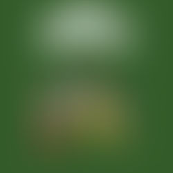 CASA RURAL PARA JOVENES EN MALAGA.