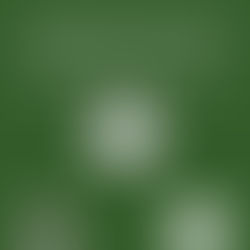 EN MI CASA RURAL DE MรLAGA ME DAN MUCHO AMOR.