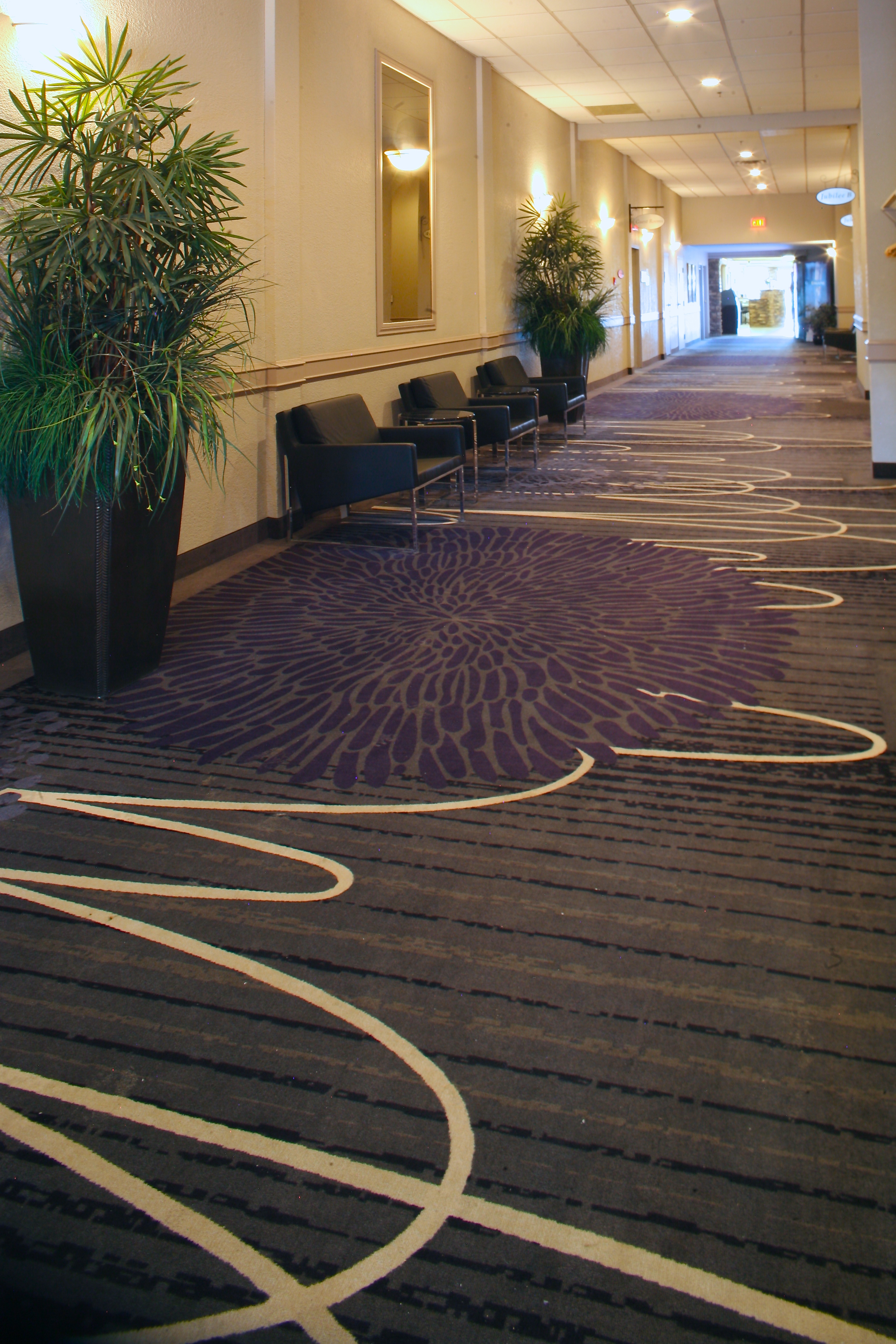 Custom corridor design