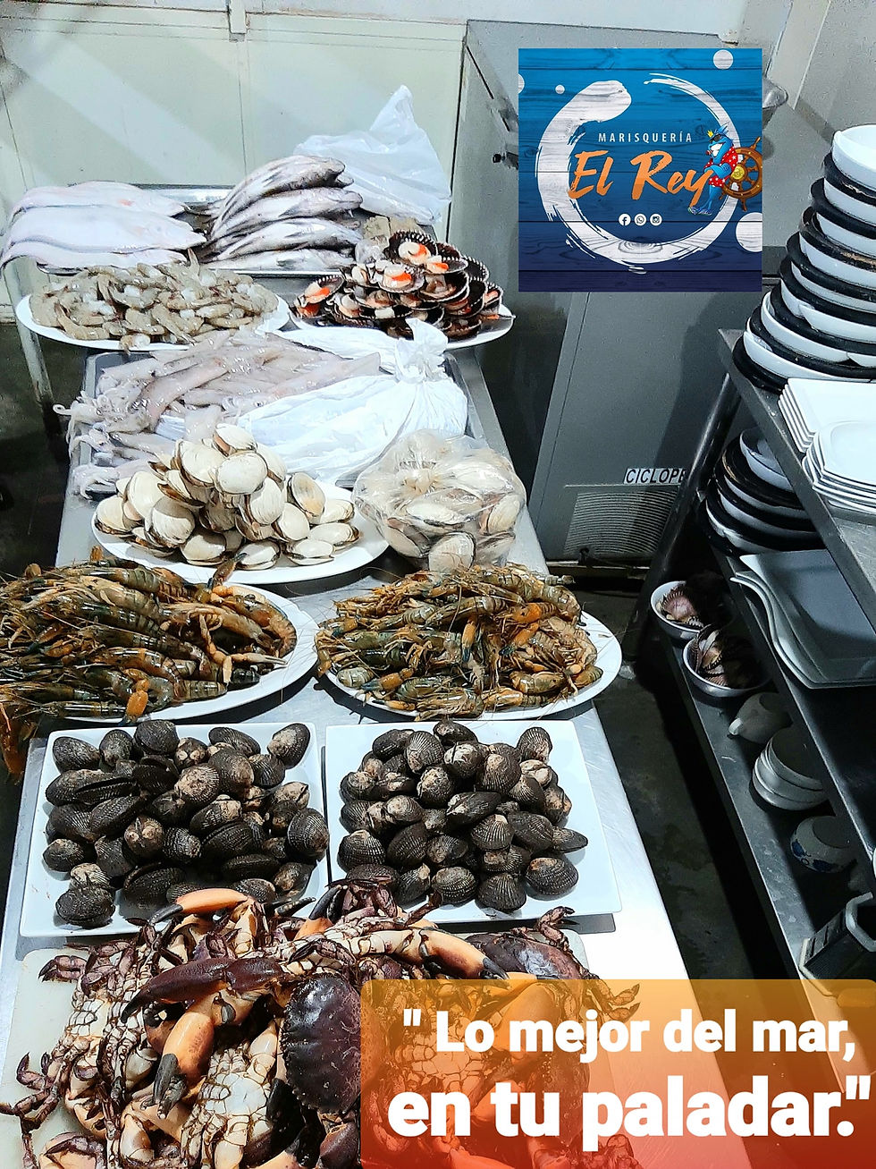 Variedad de pescados y mariscos