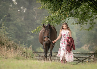 Crispin Mould Horse photography.