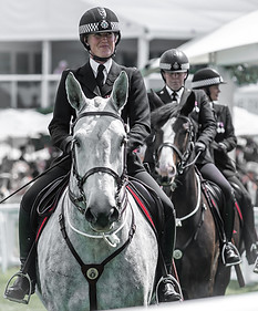 Surrey Equine Photography