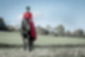 Crispin Mould All Horse Photography