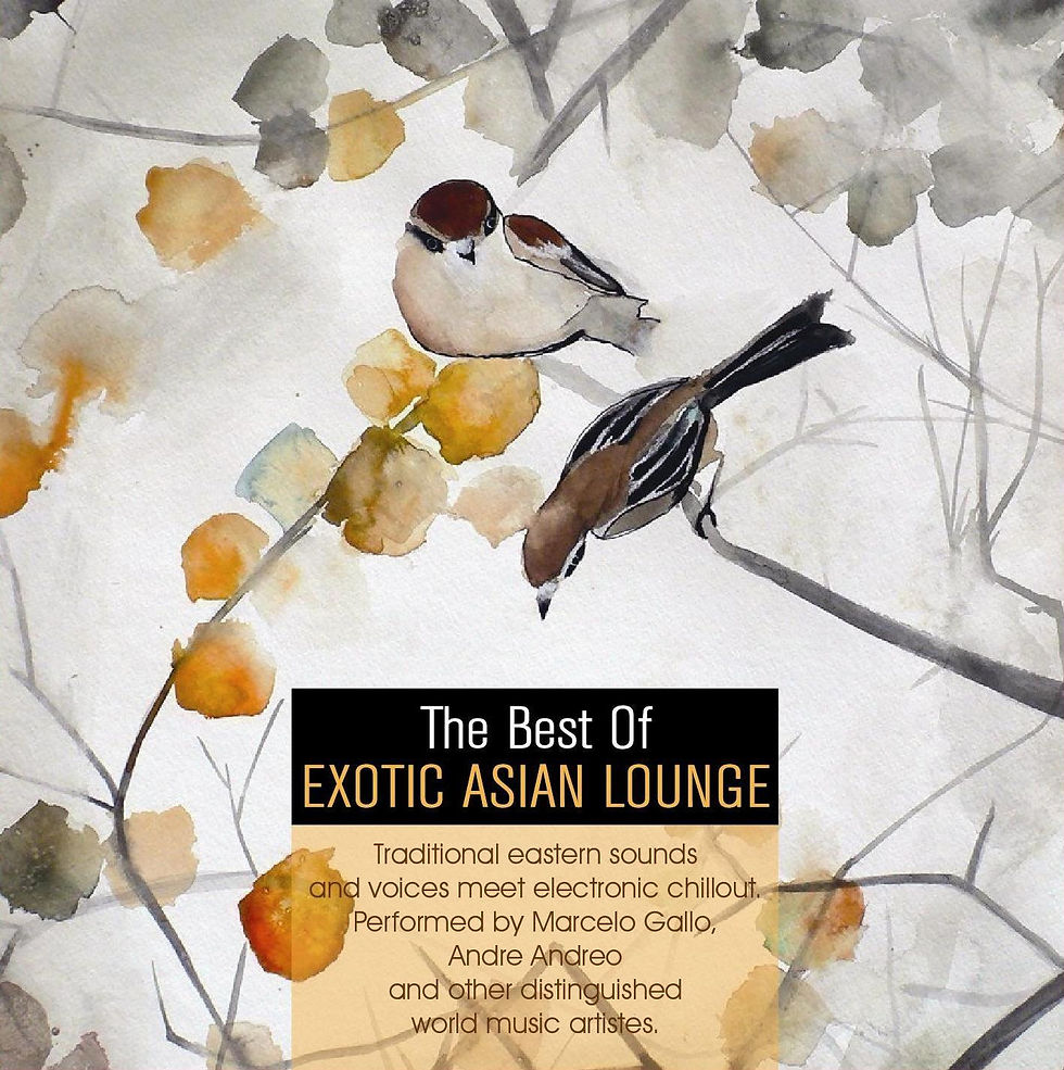 CD The Best Of Exotic Asian Lounge