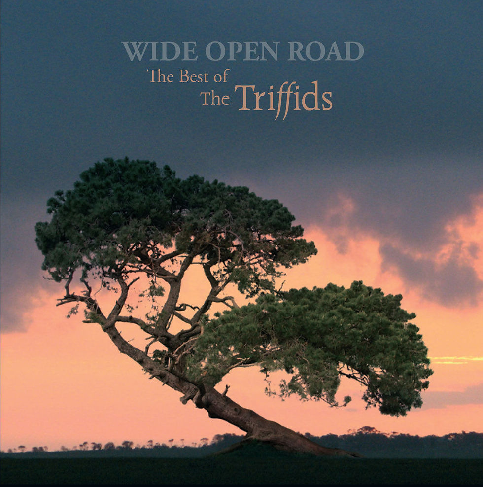The Trifiids - Wide Open Road