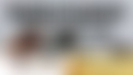 What is a Christian to Think? Developing a Biblical Worldview, Part 5, The Two Kinds of Wisdom