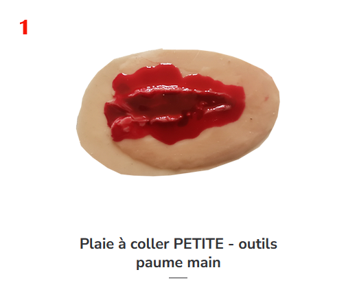 Miniature : Petit modèle multi-positionnement