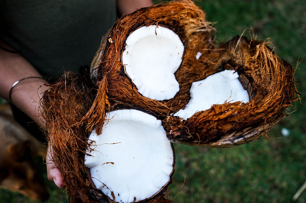 All Natural Hot Sauce made with Coconuts