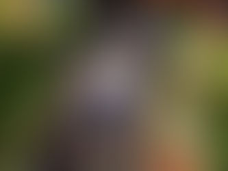 How we rode 24 rides at Magic Kingdom in ONE DAY!