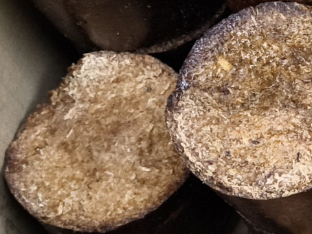 バイオフレアに出る油染み