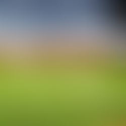 Maximizing a Landowner’s Return Through Phased Sales