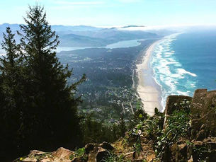 Guest Post: Manzanita - A First Time Visitor
