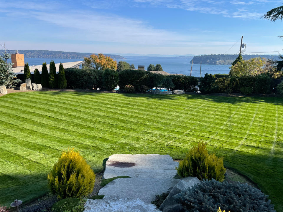 The Perfect Lawn
