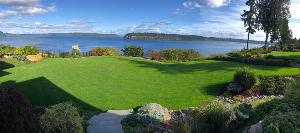 The Perfect Lawn