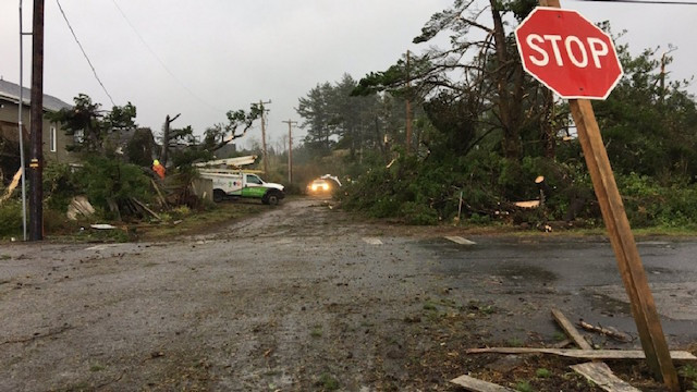 Manzanita Tornado damage 03