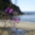 Manzanita Beach