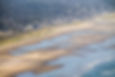 manzanita photo